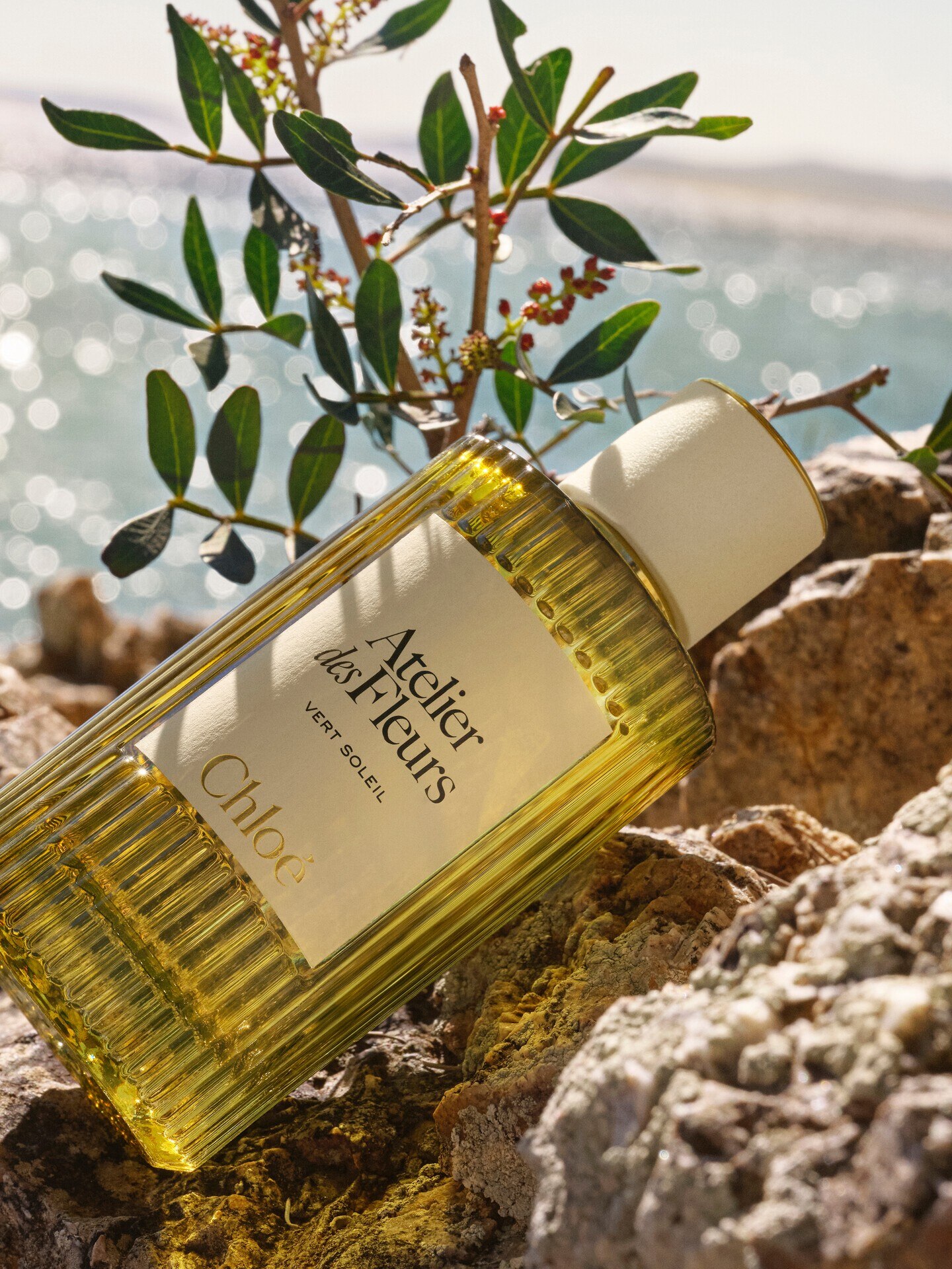 Atelier des Fleurs Vert Soleil Eau de Parfum 150&nbsp;ml - 4