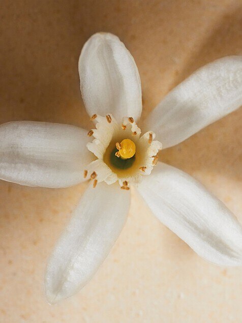 Atelier des Fleurs Neroli Eau de Parfum 150&nbsp;ml