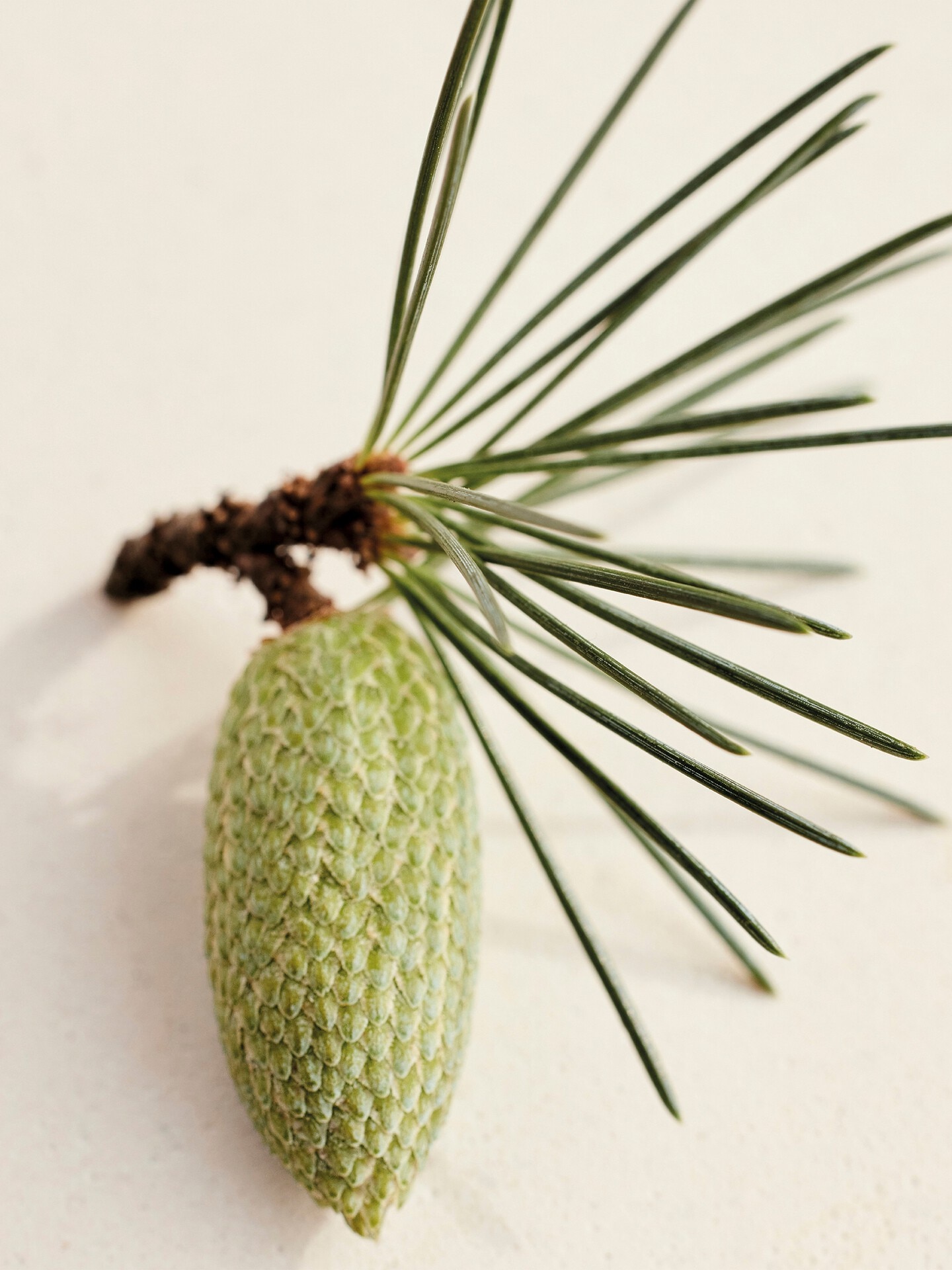 Atelier des Fleurs – Discovery gift set pensprays - 5