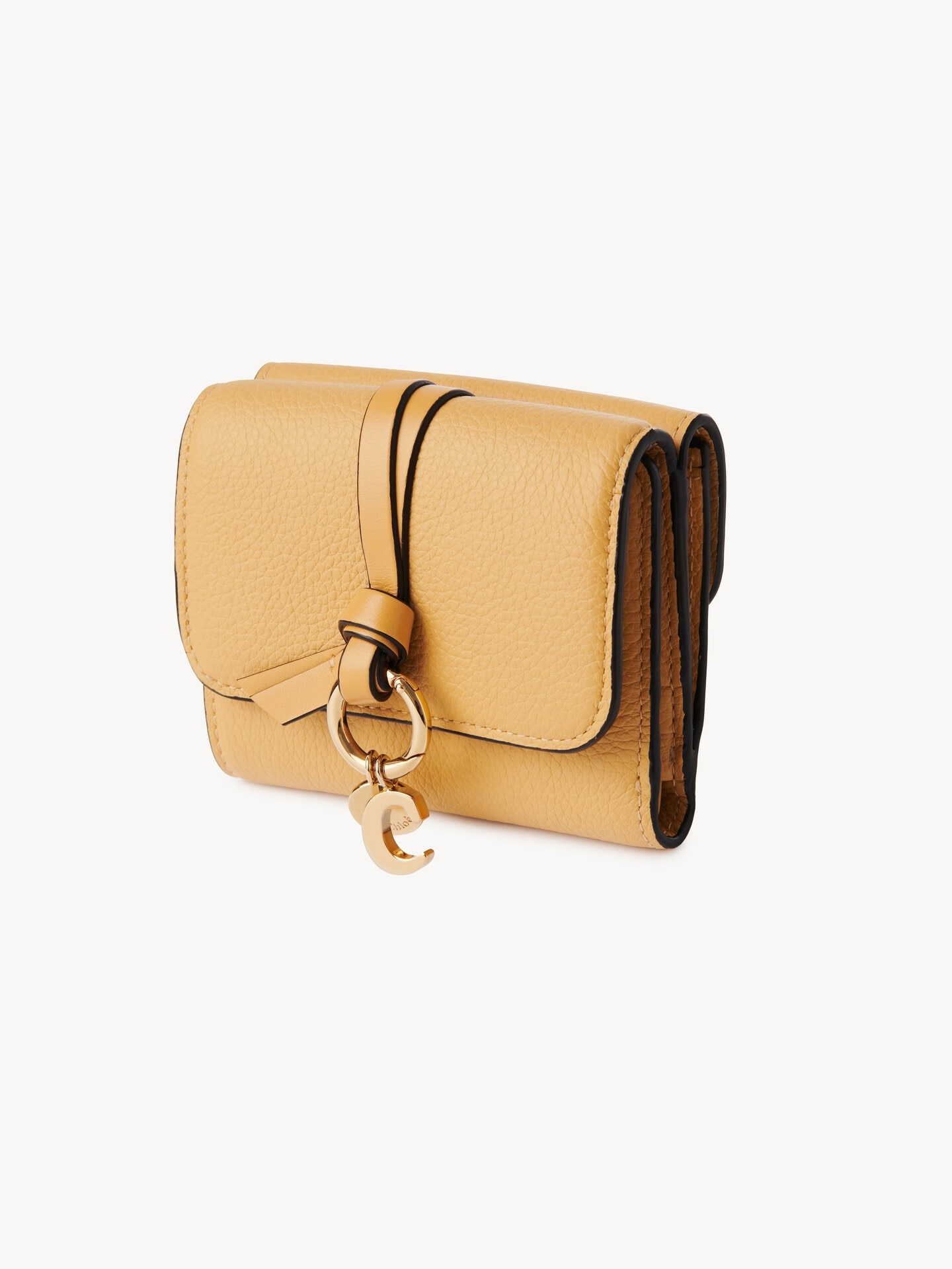 Alphabet Small Tri-Fold - 2