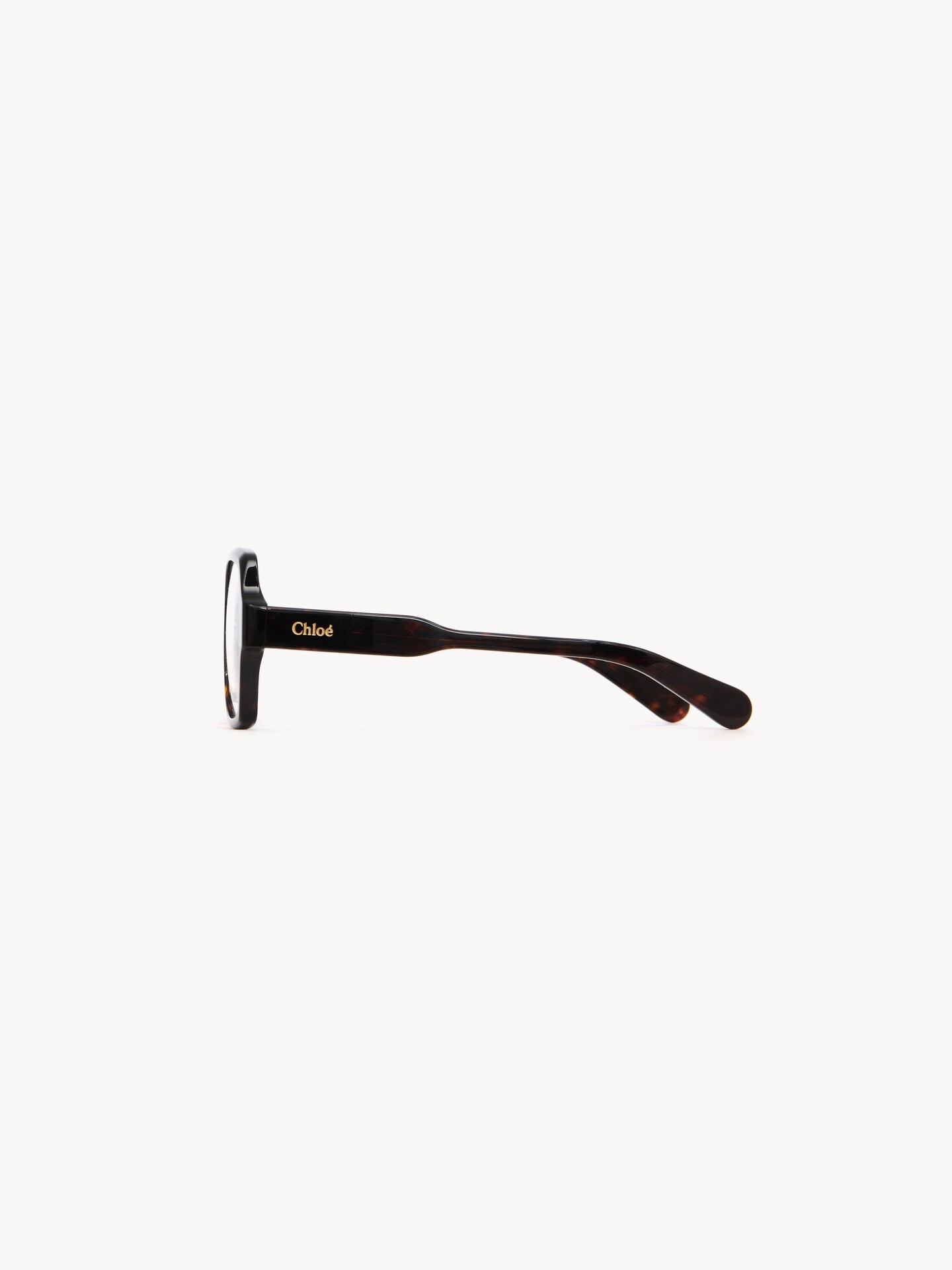 Gayia Brille - 3