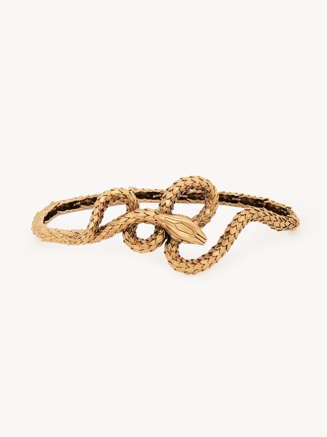 The Chlo&eacute; Snake belt