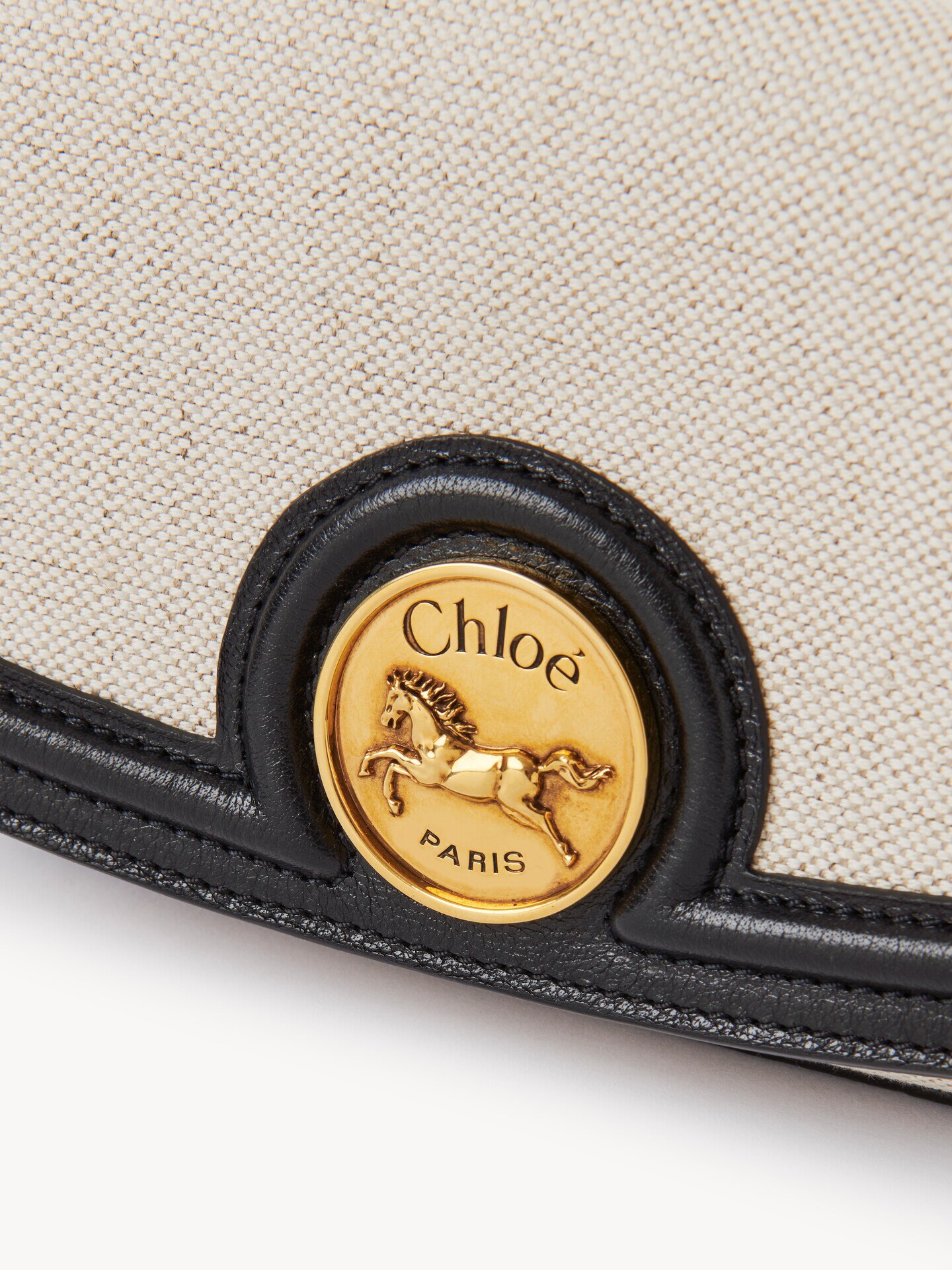 Horse Medal crossbody bag in canvas & grained leather - 7