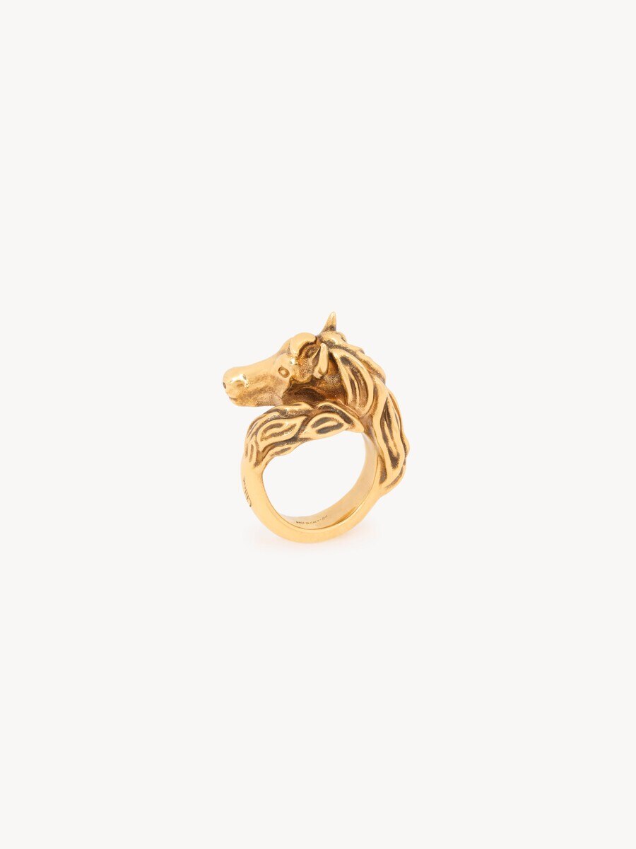 The Chlo&eacute; Chain Horse Toi et Moi ring - 4