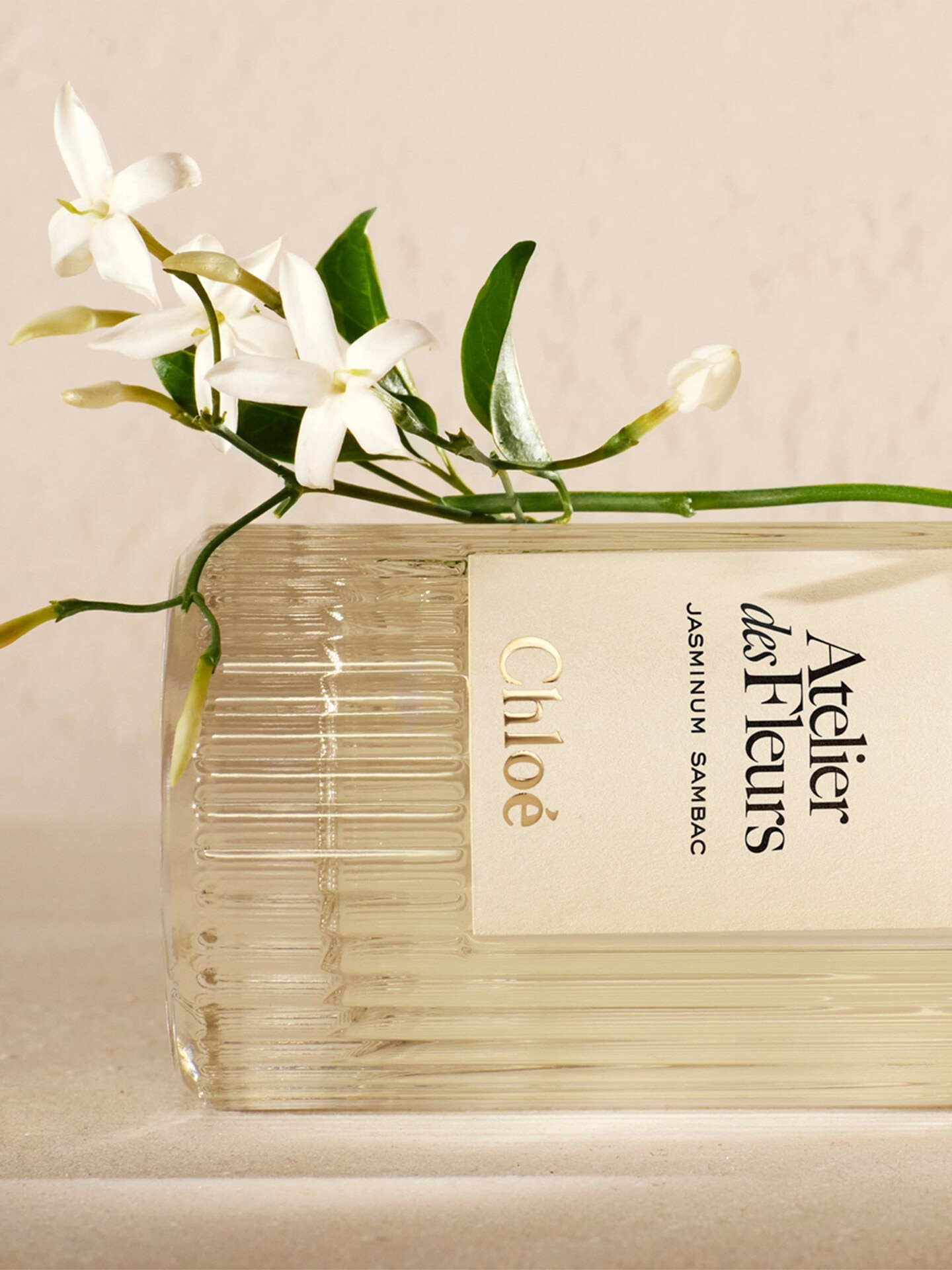 Atelier des Fleurs Jasminum Sambac Eau de Parfum - 6