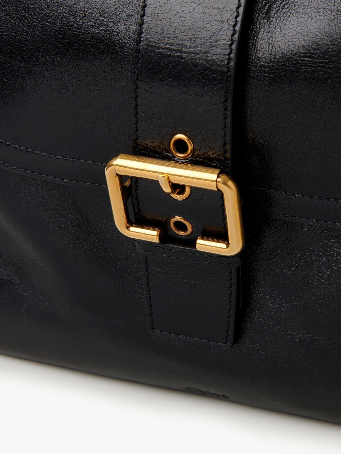 Large Camera bag in shiny leather - 7