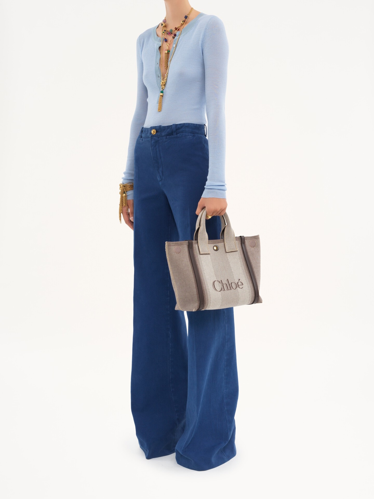 Small Chlo&eacute; Carry tote bag in canvas - 10