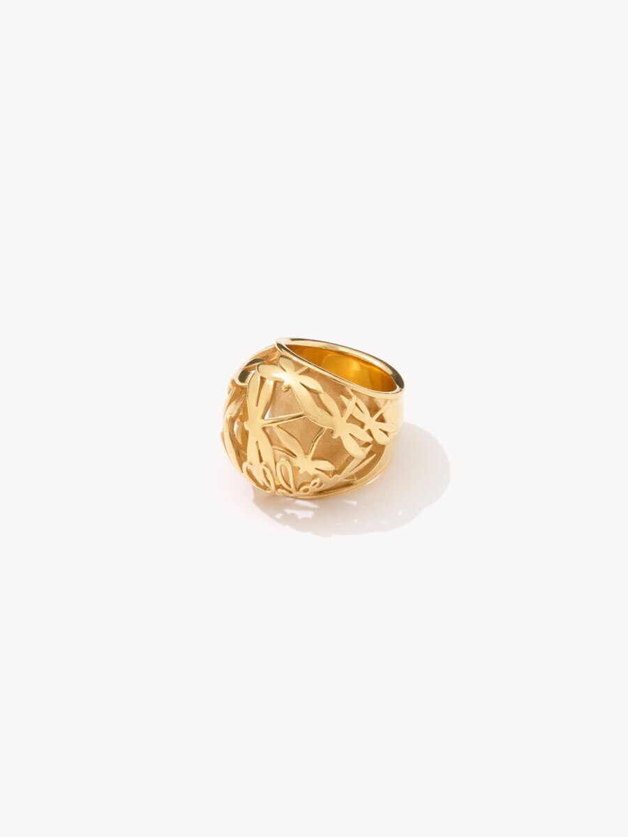 The Chlo&eacute; Gilded Cage ring - 1