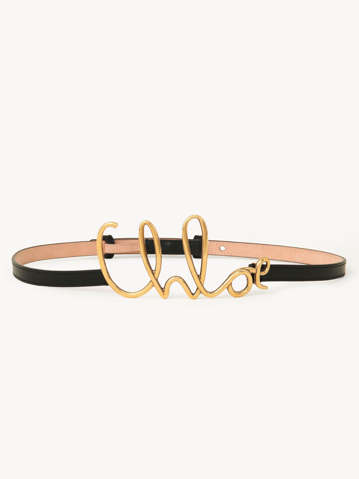 The Chloé Iconic small belt - 5
