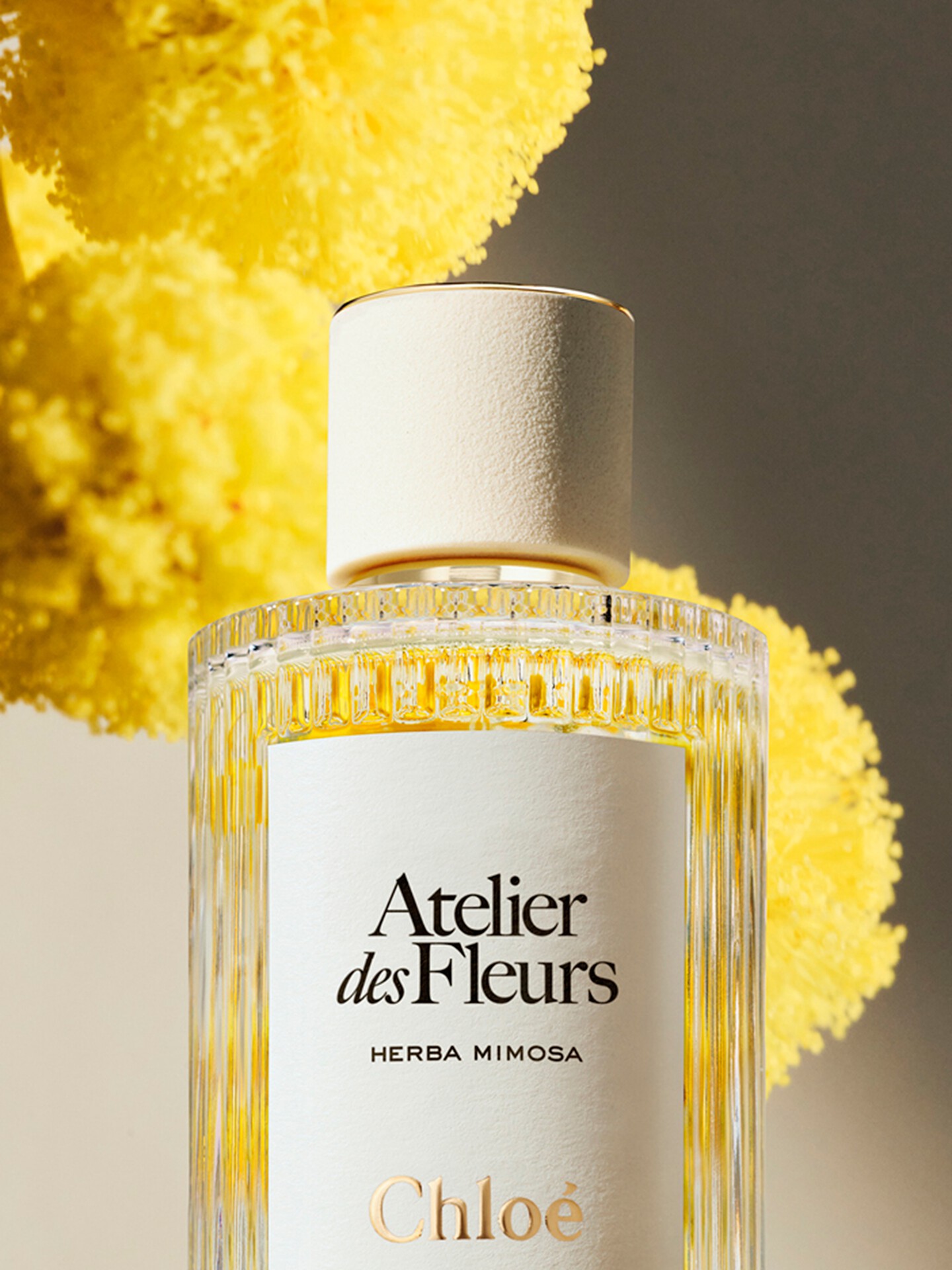 Atelier des Fleurs Herba Mimosa Eau de Parfum 150 ml - 5
