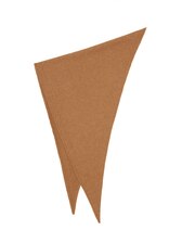 DUSTY_CAMEL