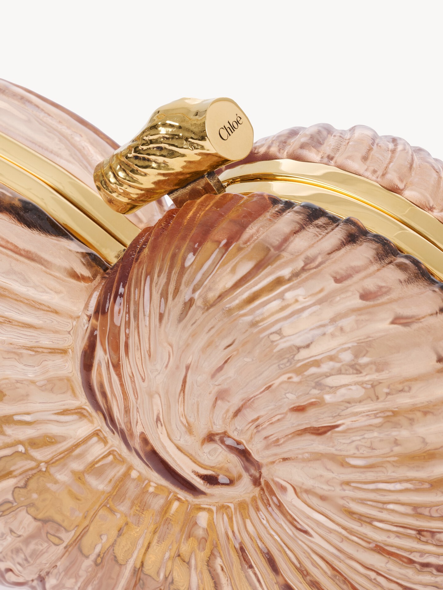 Sea Treasures shell minaudi&egrave;re in plexiglass - 5.0