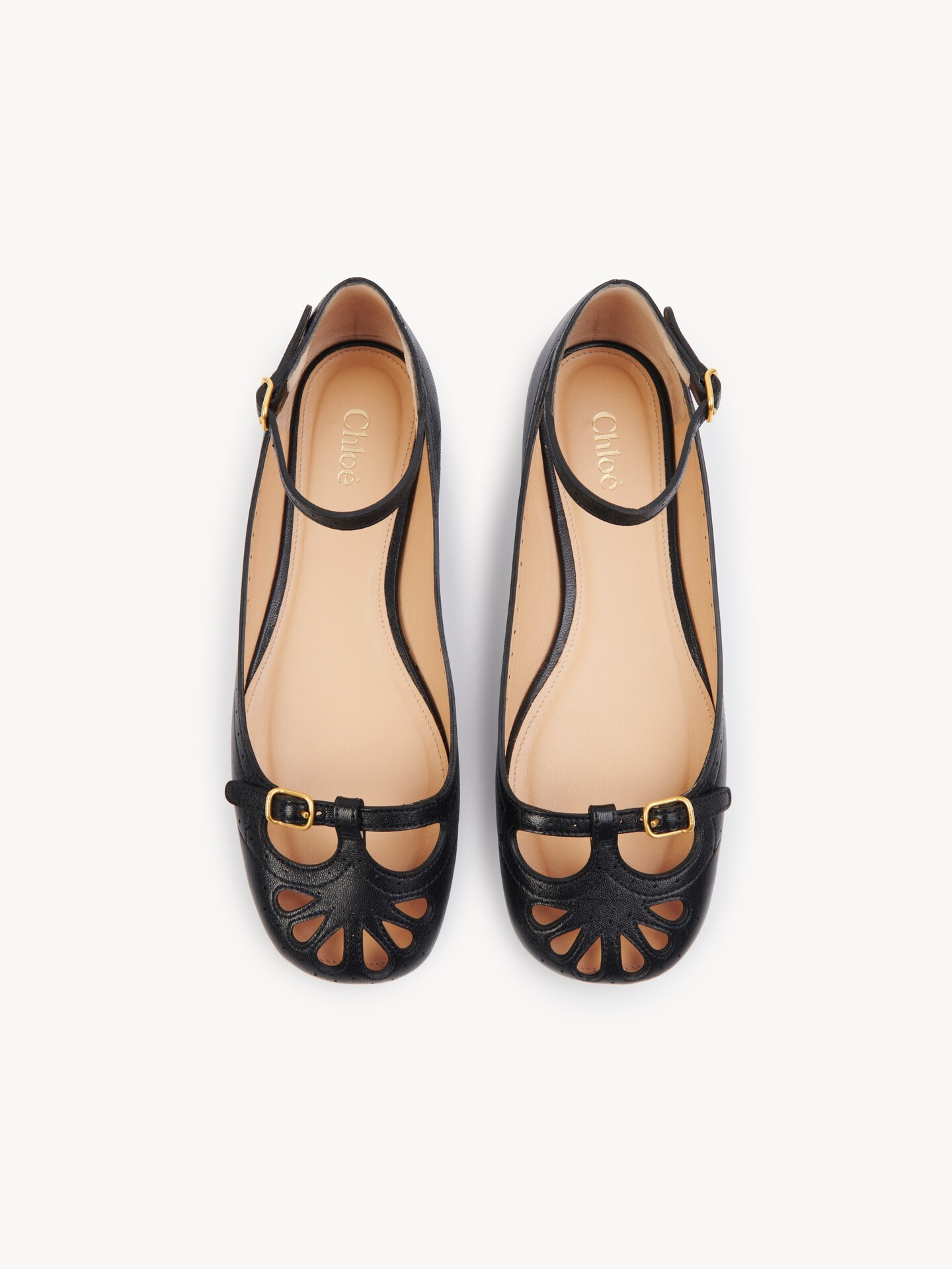 Ballerines Misty - 5