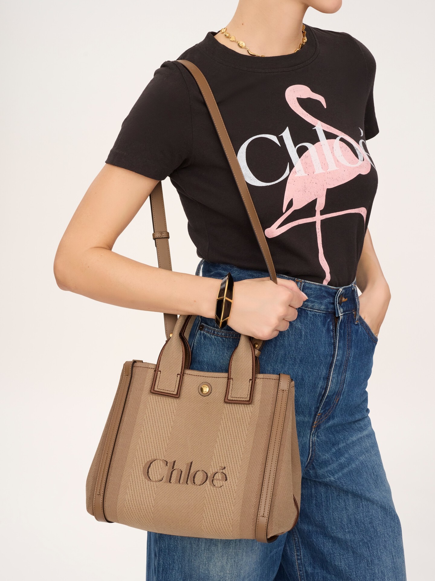 Petit sac cabas Chlo&eacute; Carry en toile - 3