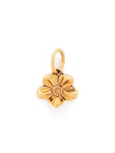GOLD_COLOR