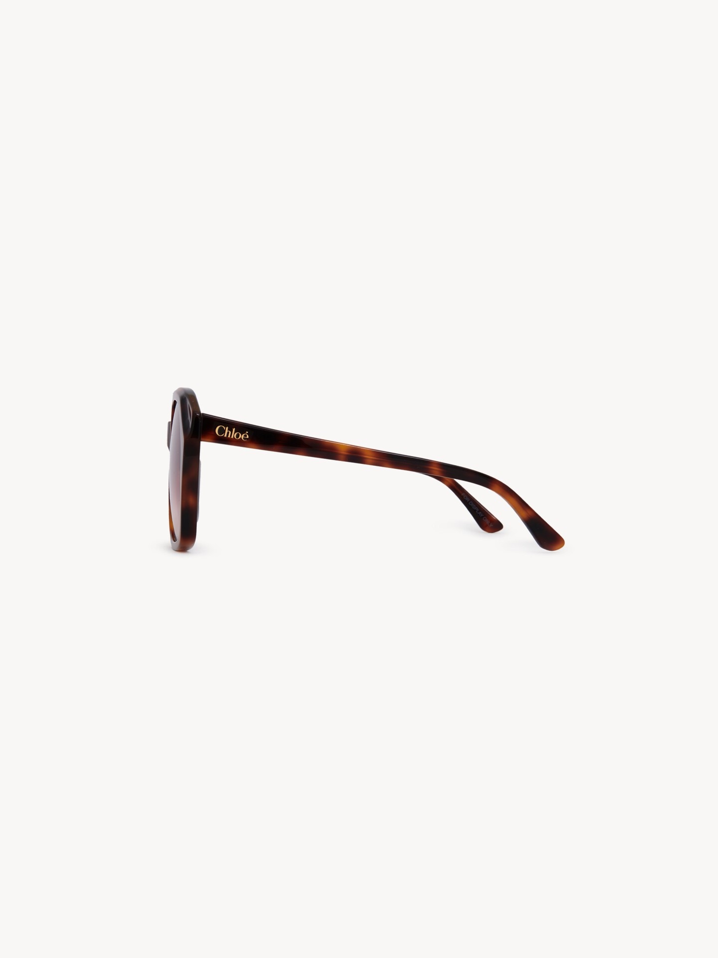 Salom&eacute; sunglasses - 3.0