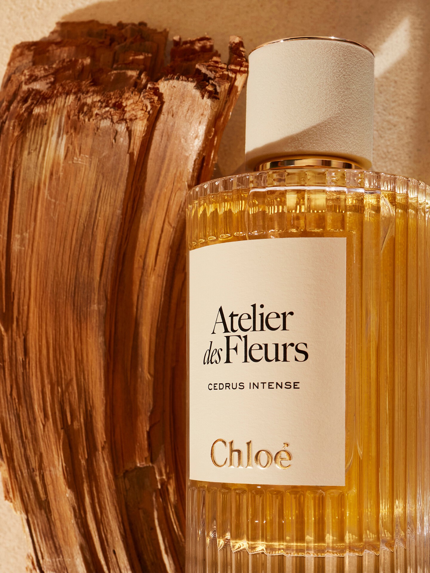 Atelier des Fleurs Cedrus Intense Eau de Parfum 5.1 fl oz - Chloé