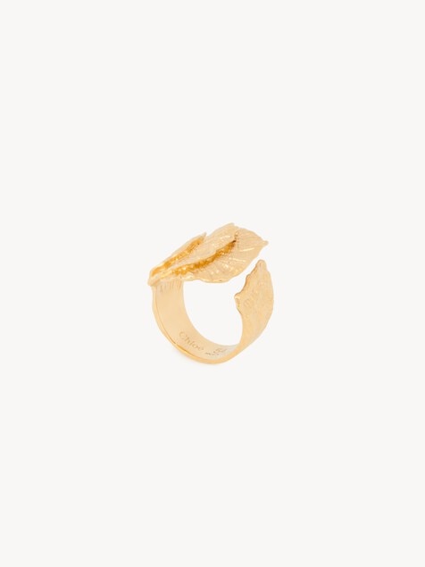 Anillo Chlo&eacute; Shells