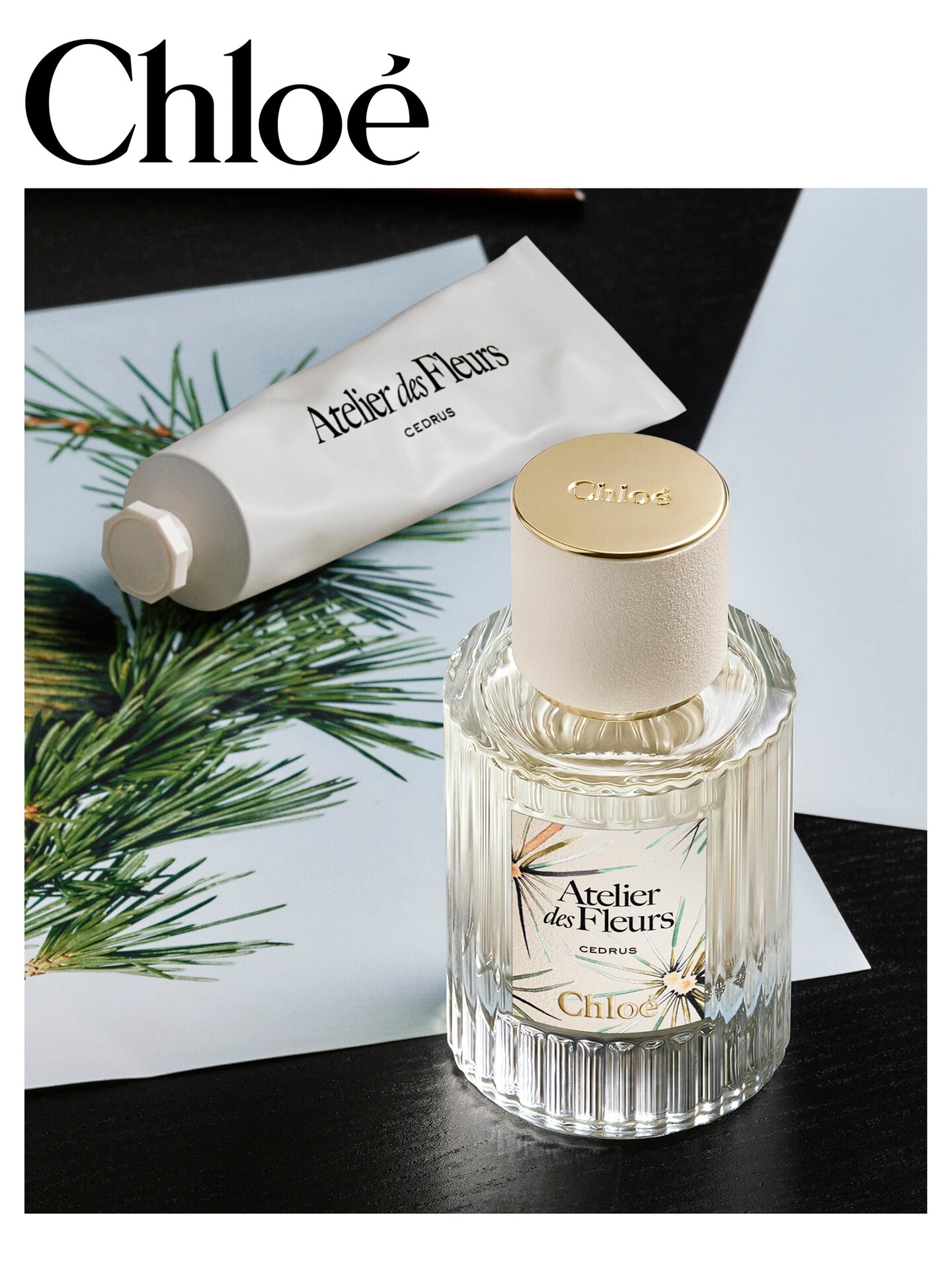 Limited-Edition Atelier des Fleurs Cedrus Eau de Parfum 50 ml - 7