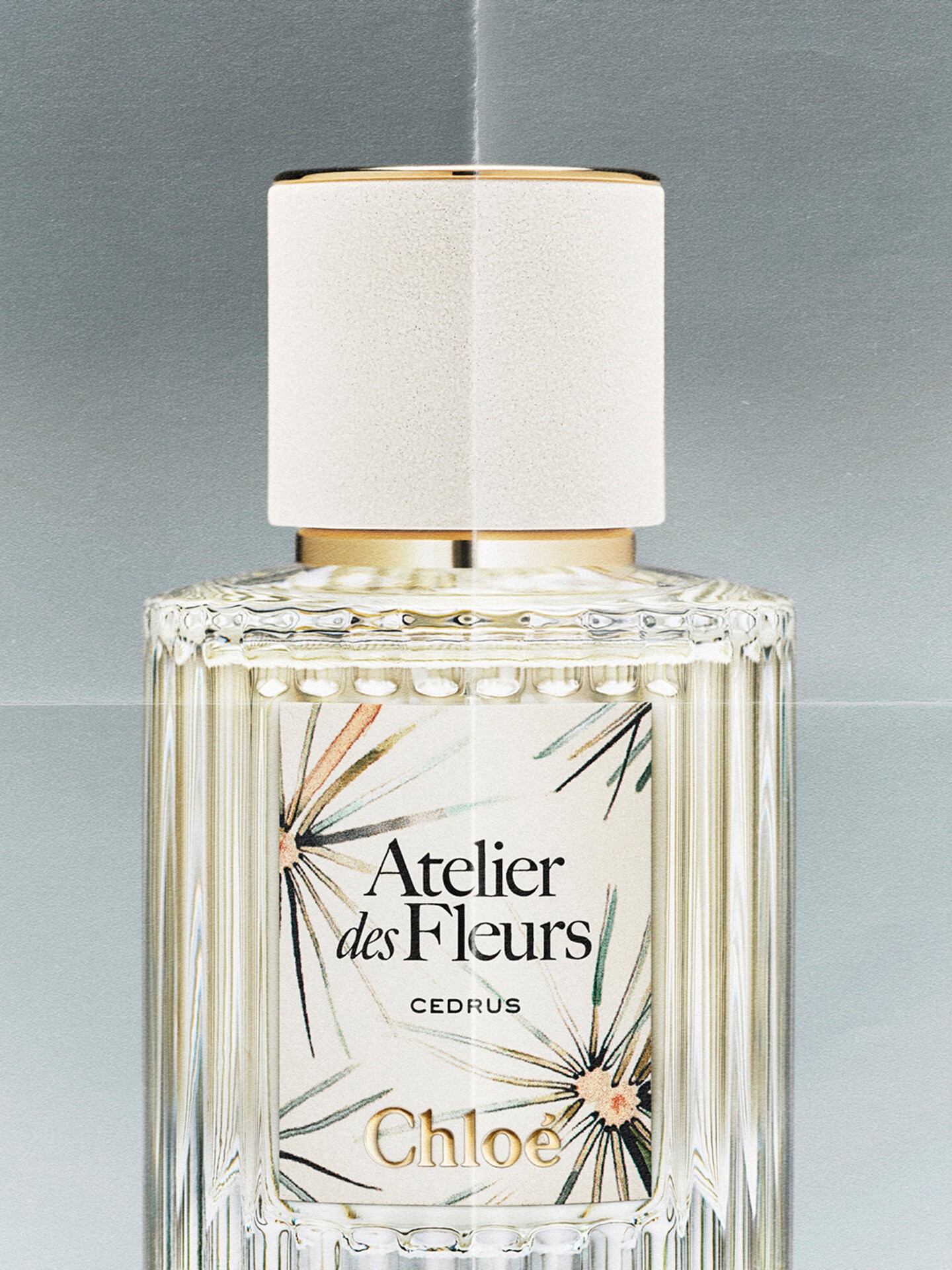 Limited-Edition Atelier des Fleurs Cedrus Eau de Parfum 50 ml - 6