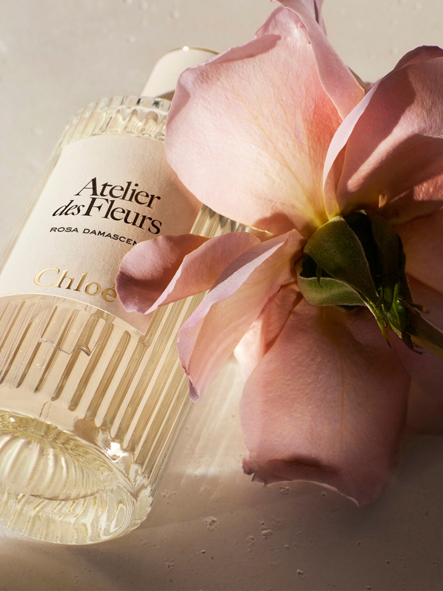 Atelier des Fleurs Rosa Damascena Eau de Parfum 150 ml - 4.0