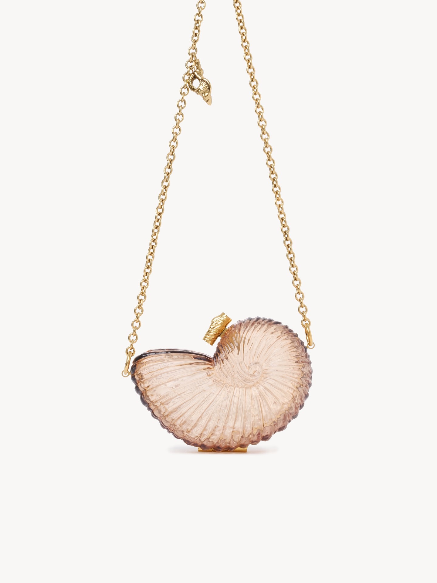 プレキシガラス製Sea Treasuresシェル ミノディエール - 5