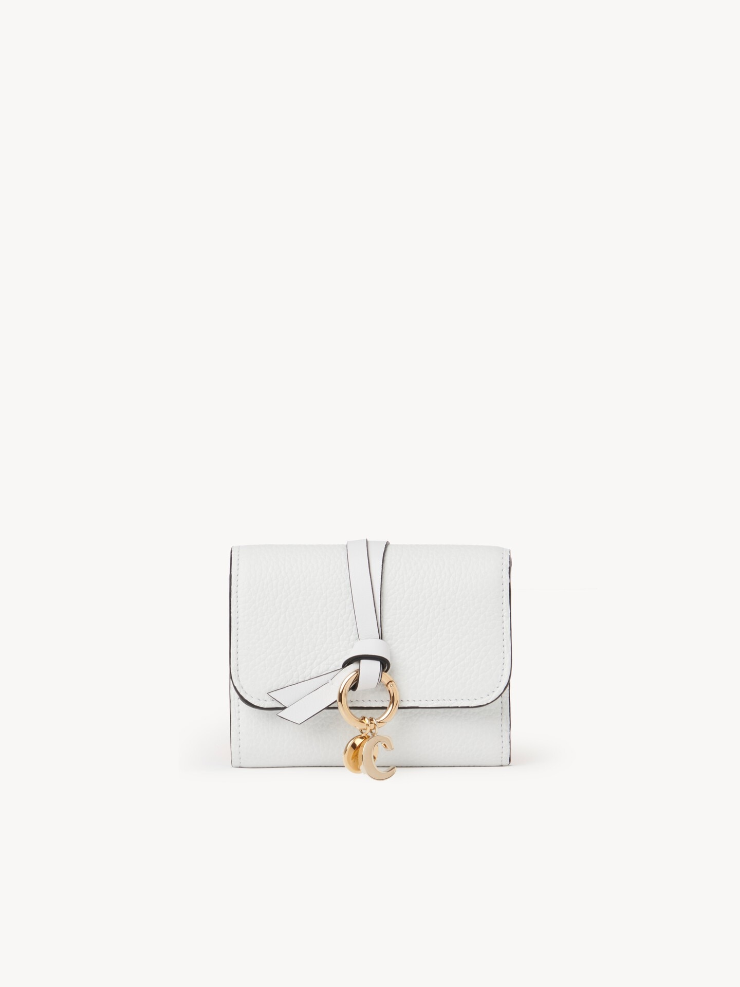 Alphabet Small Tri-Fold - 1