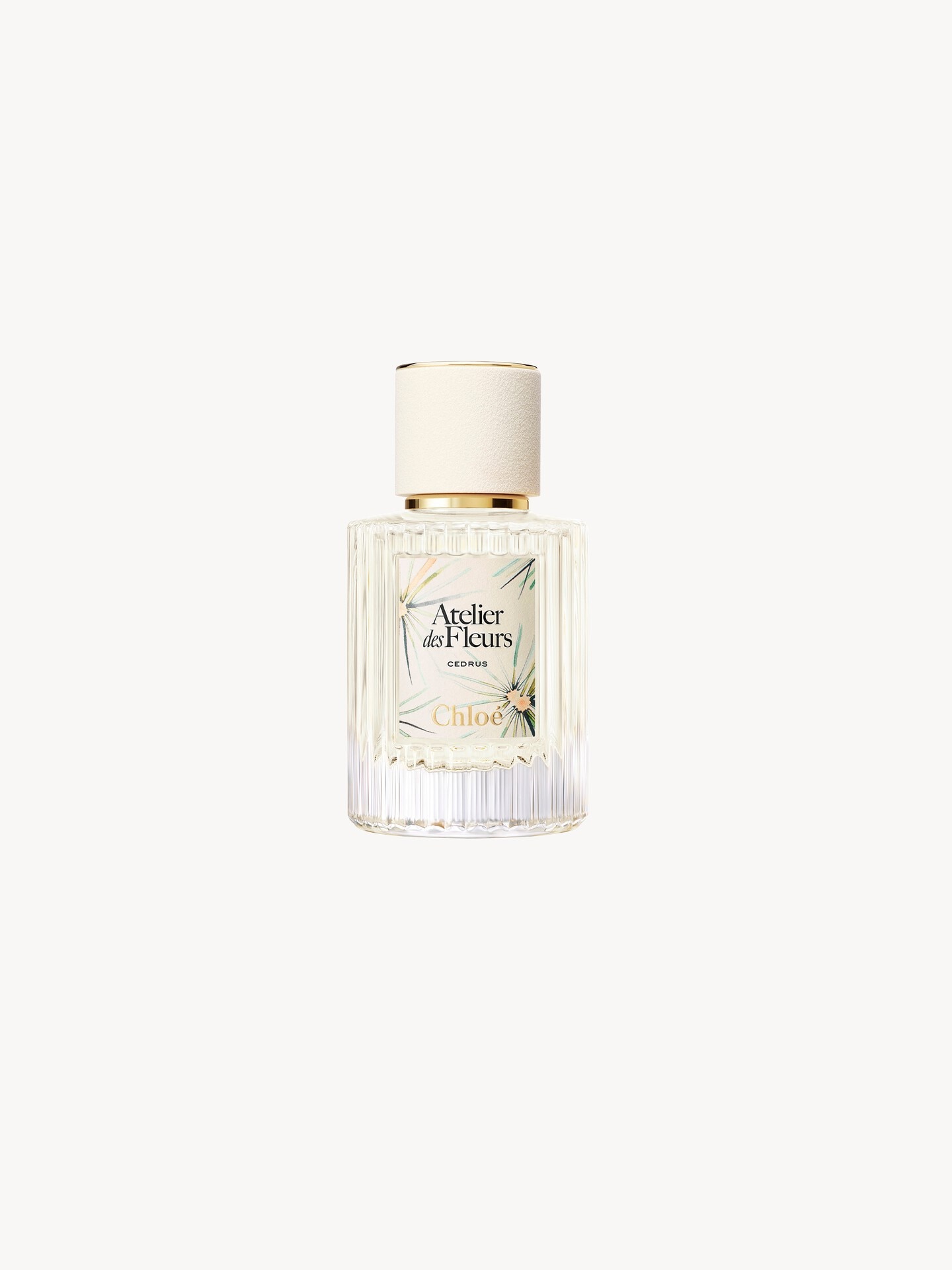 Limited-Edition Atelier des Fleurs Cedrus Eau de Parfum - Chloé