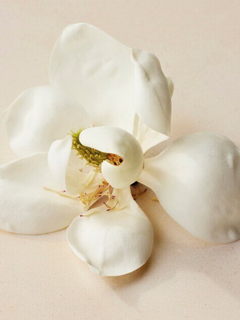 Atelier des Fleurs Magnolia Alba Solid Perfume