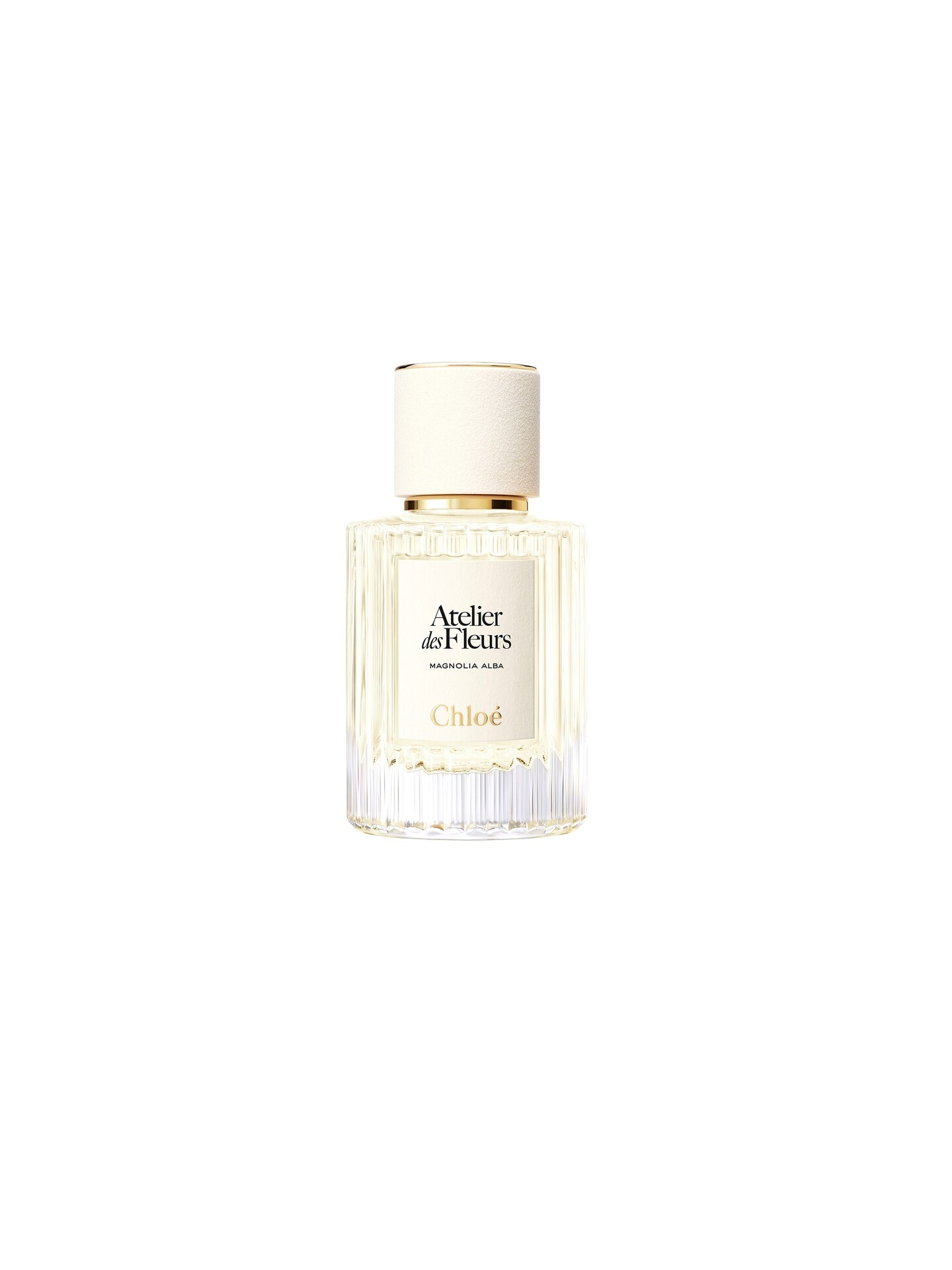 Chloé ATELIER DES FLEURS MAGNOLIA ALBA DqsCjoi6R3mMrDXDQEjhzQ_865a130
