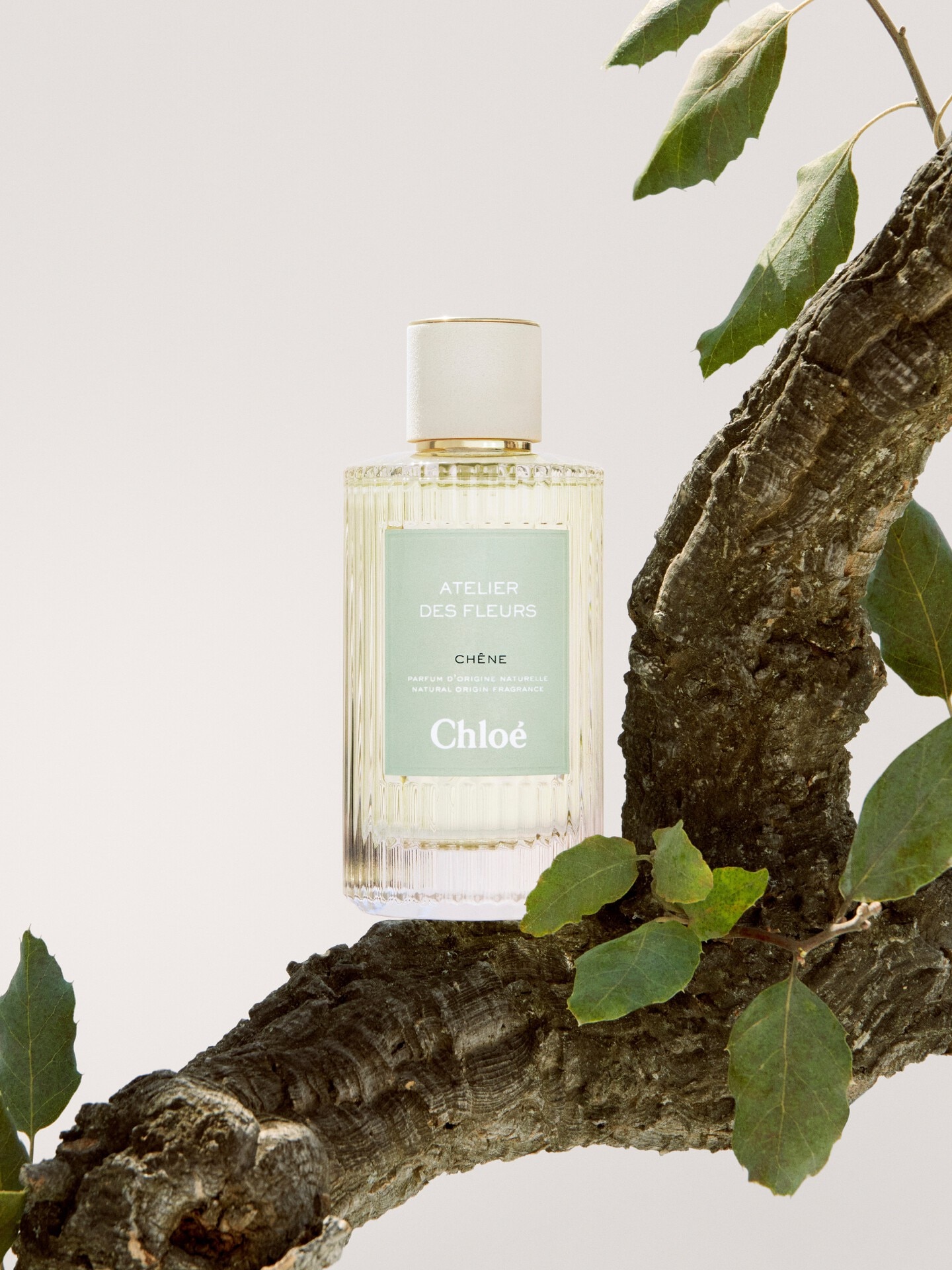 Atelier des Fleurs Ch&ecirc;ne Eau de Parfum 5.1 fl oz - 5