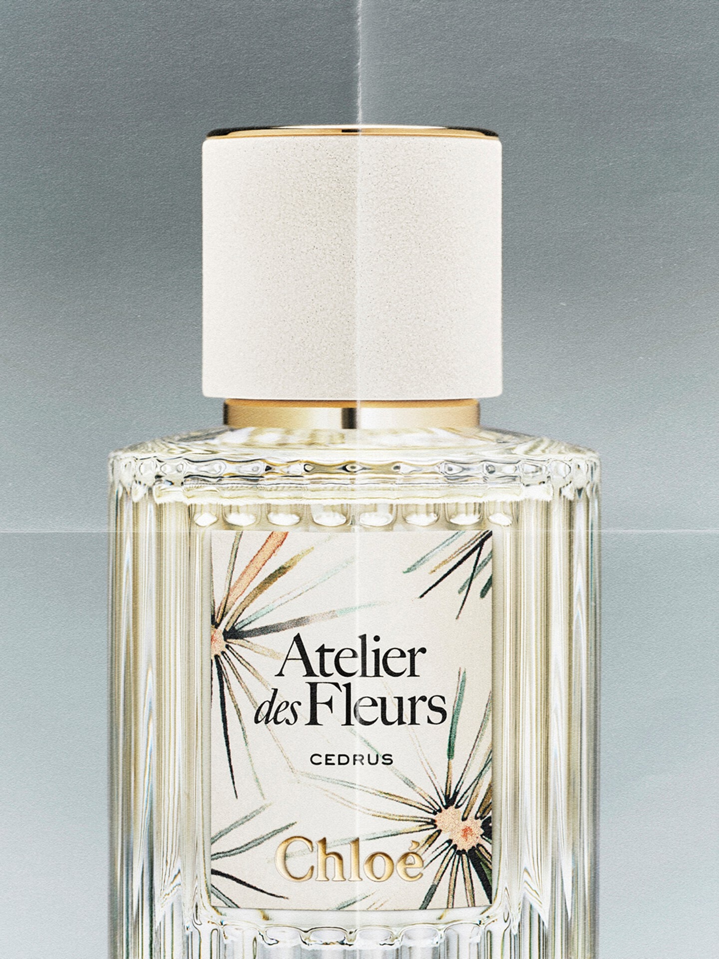 クロエChloé Atelier des Fleurs CEDRUS香水 Limited-Edition Atelier des Fleurs Cedrus Eau de Parfum 50 ml - Chloé