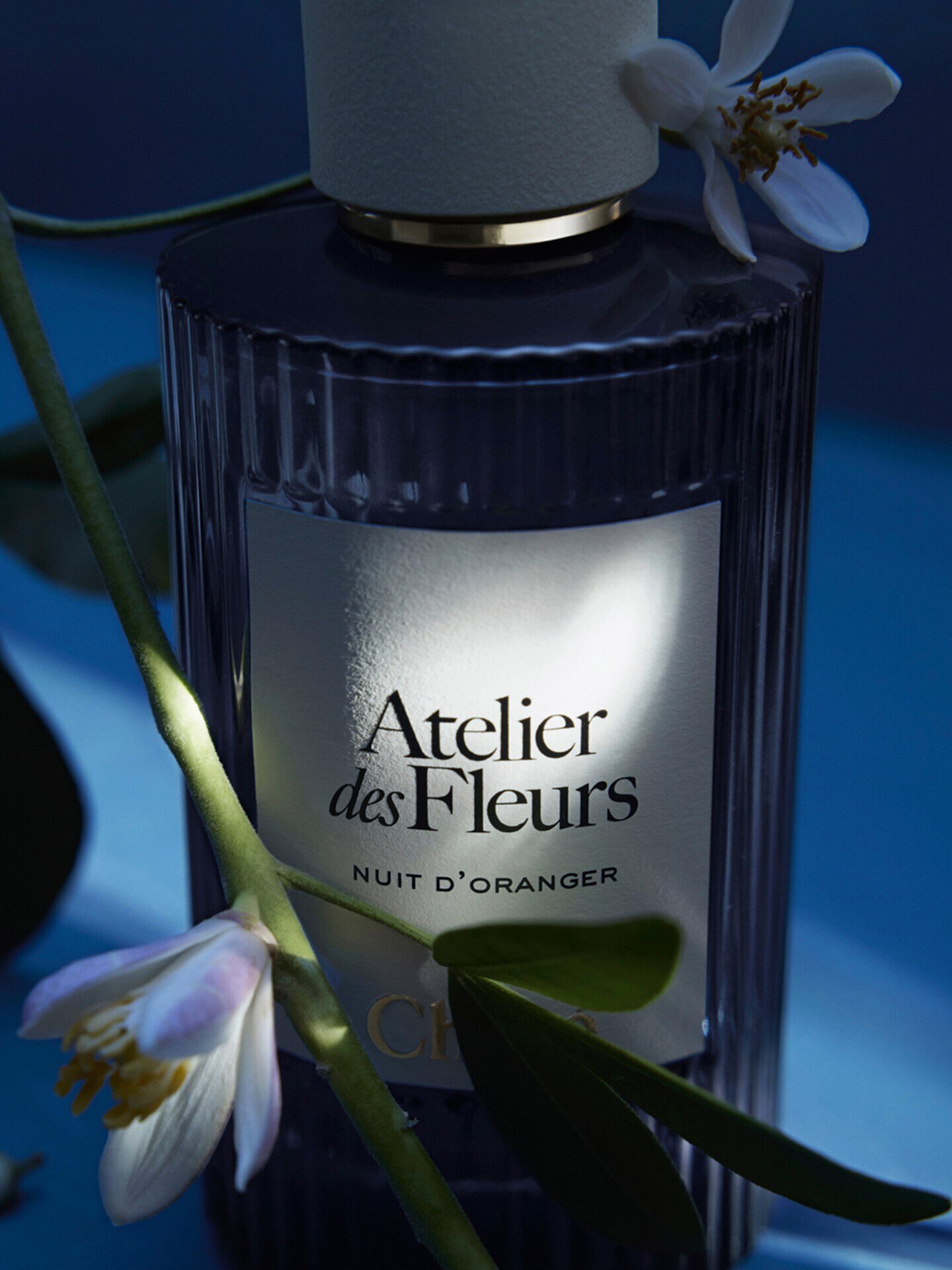 Atelier des Fleurs Nuit d&rsquo;Oranger Eau de Parfum 150&nbsp;ml - 4