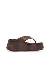 SHARP_BROWN