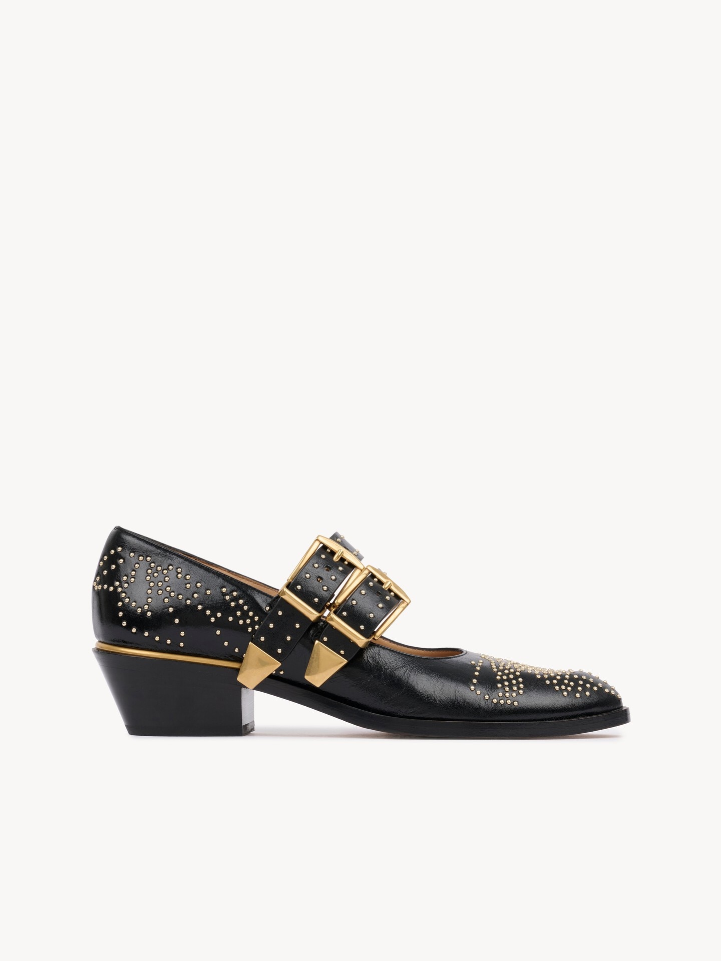 Susanna pump - 1.0