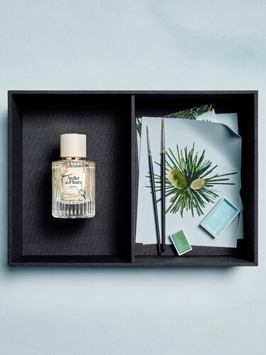 Limited-Edition Atelier des Fleurs Cedrus Eau de Parfum - Chloé