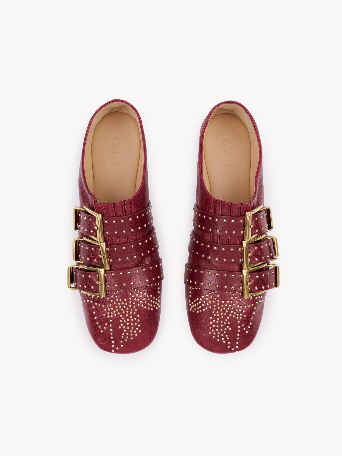 Susanna flat - 4