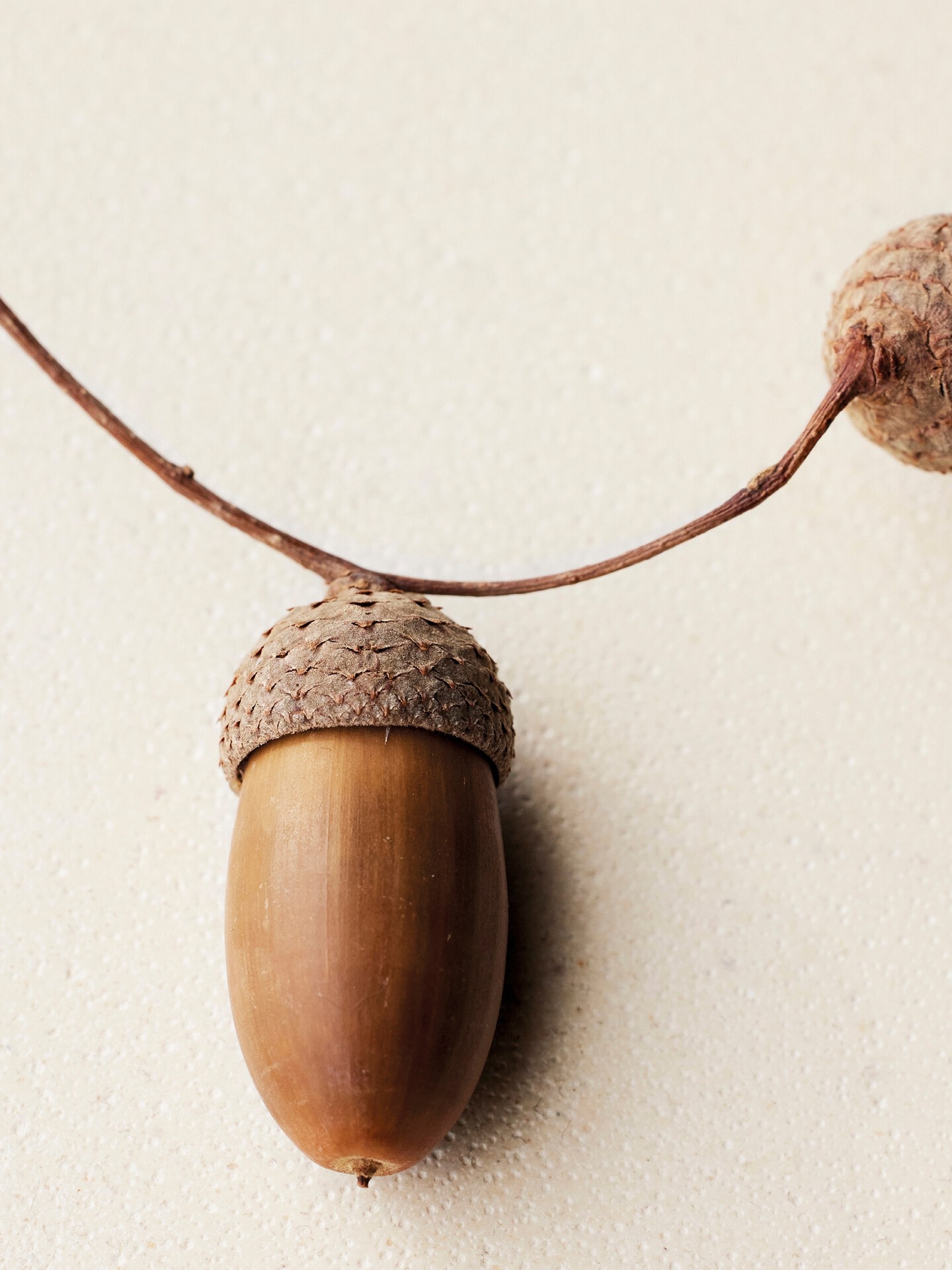 Atelier des Fleurs Ch&ecirc;ne Eau de Parfum 5.1 fl oz - 4