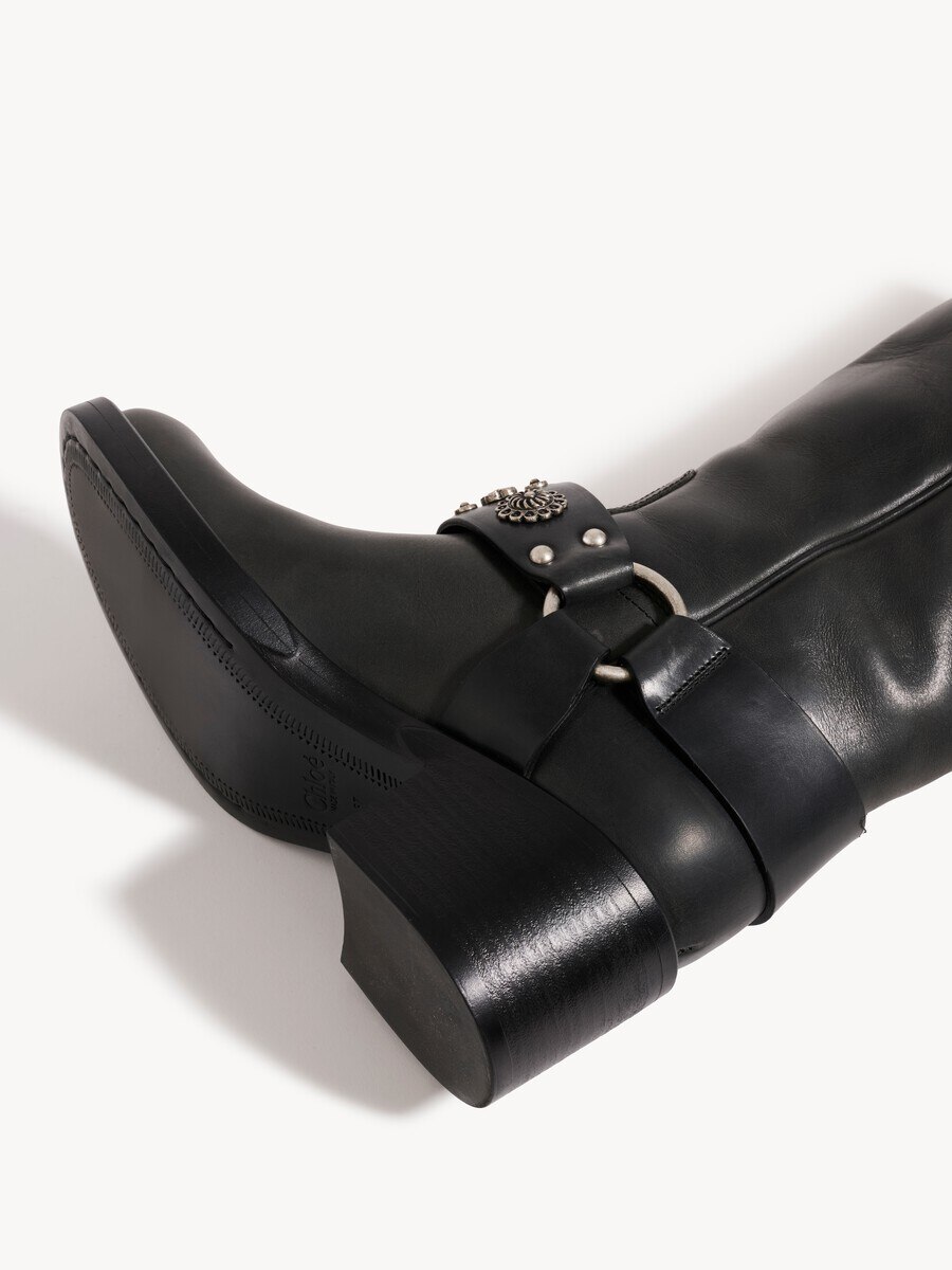 Botas Dakota - 6