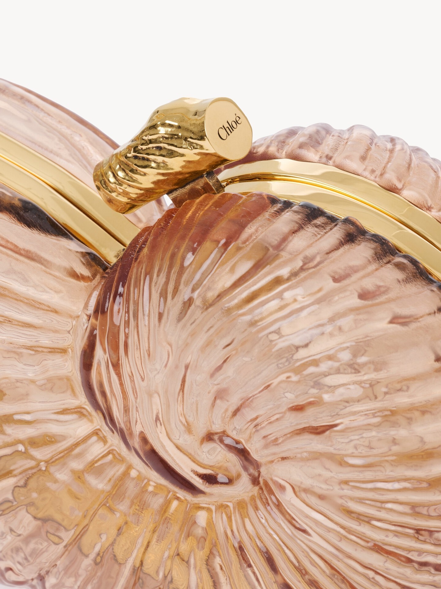 Sea Treasures shell minaudi&egrave;re in plexiglass - 5.0