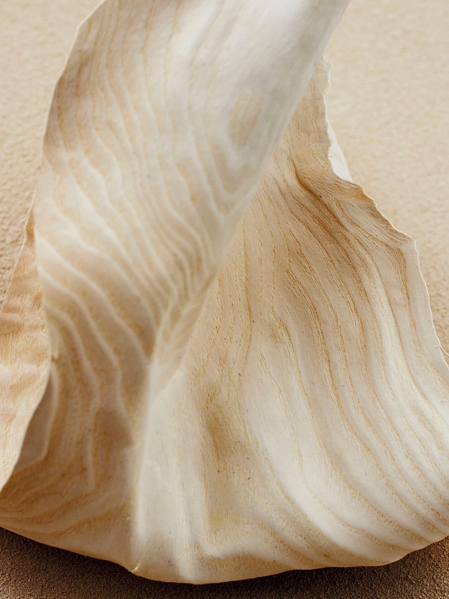 Atelier des Fleurs Santalum Eau de Parfum - 2