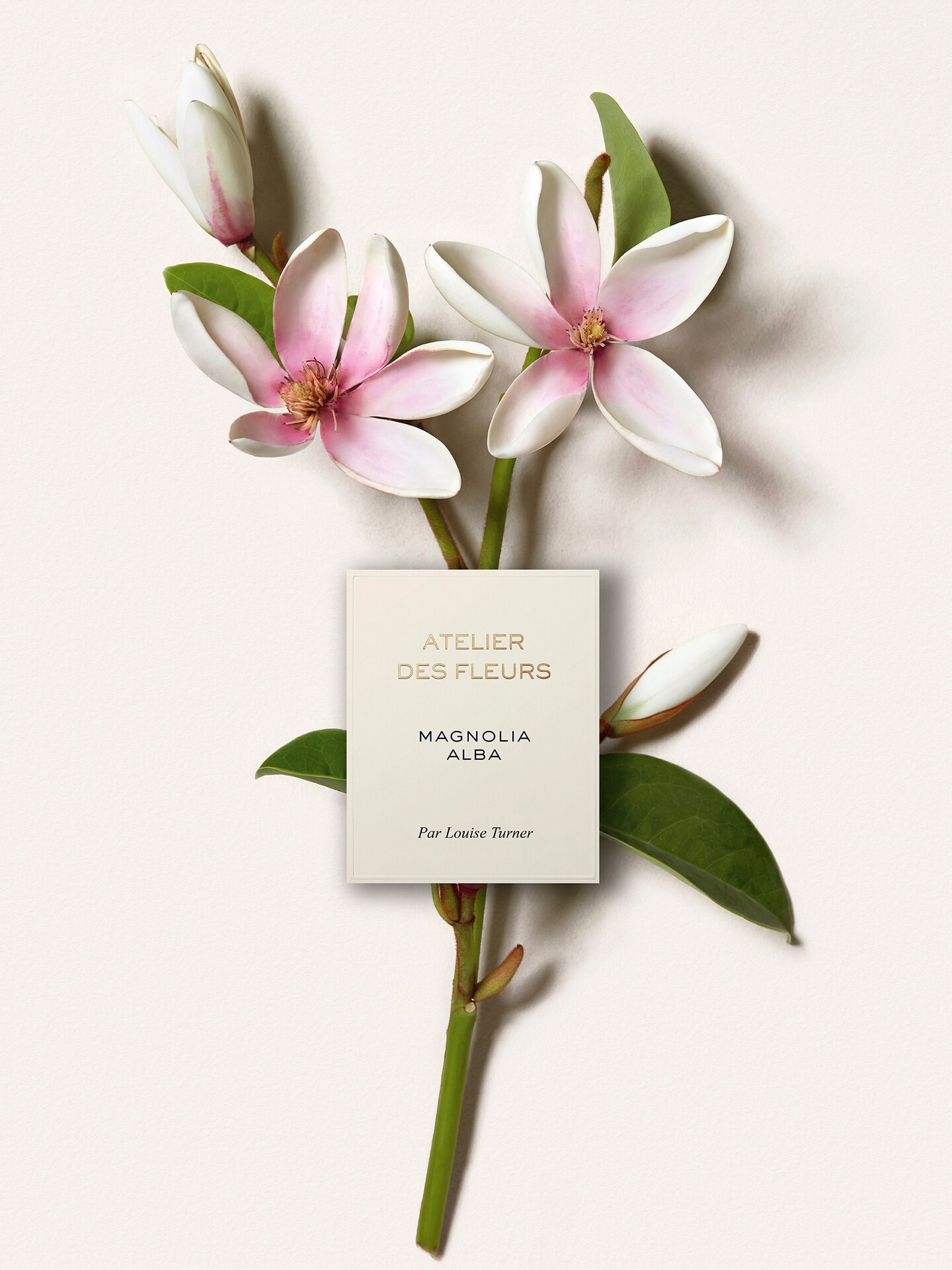 Atelier des Fleurs - Coffret d&eacute;couverte parfums - 3