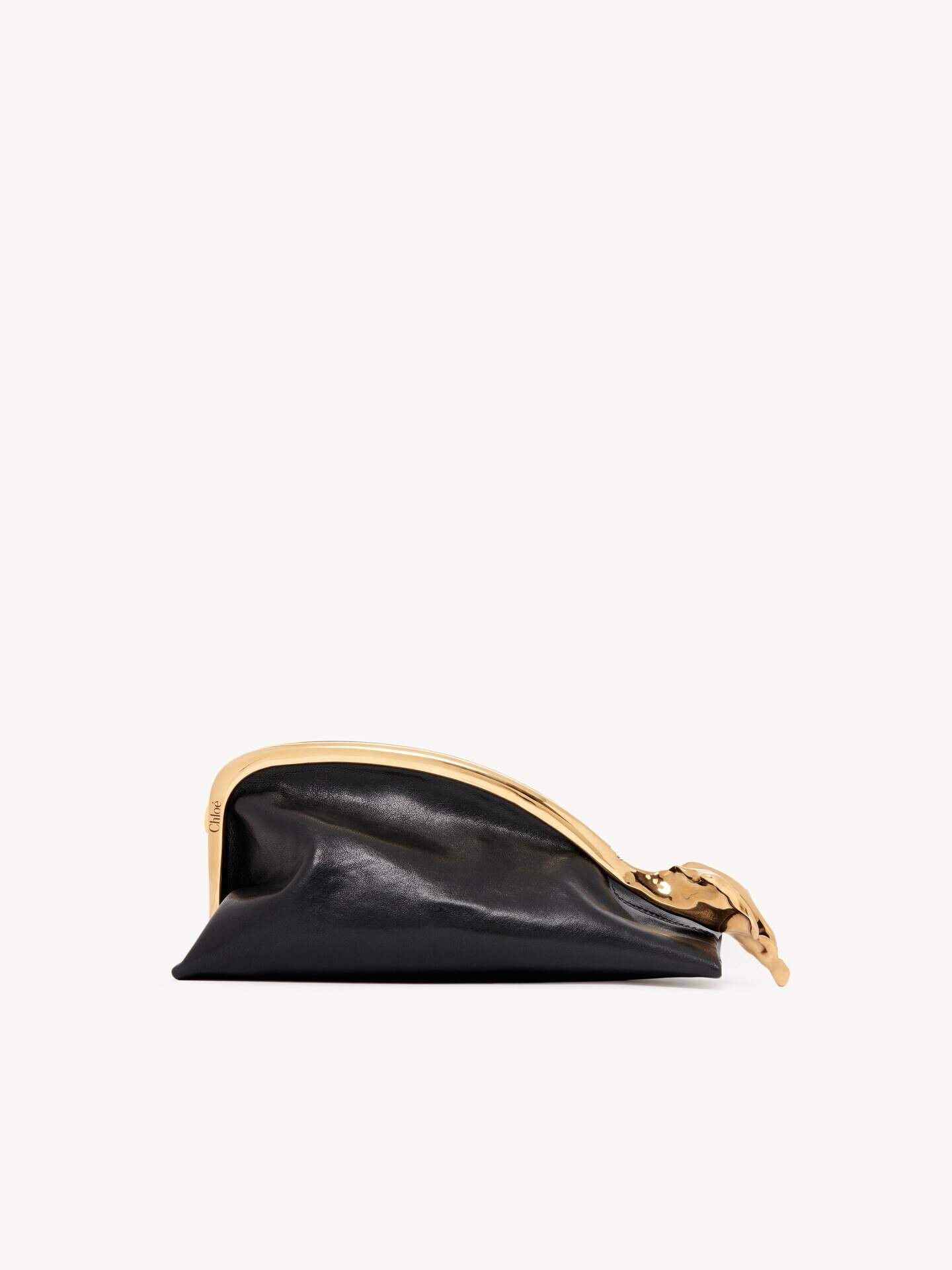 Small Eden Treasures clutch in leather - 1.0
