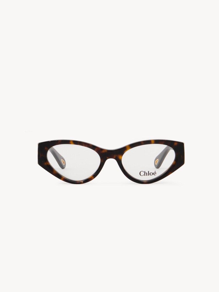 Marcie Brille - 2