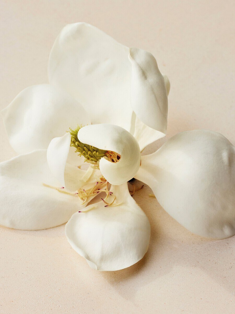 Atelier des Fleurs Magnolia Alba Eau de Parfum 5.1 fl oz - 5