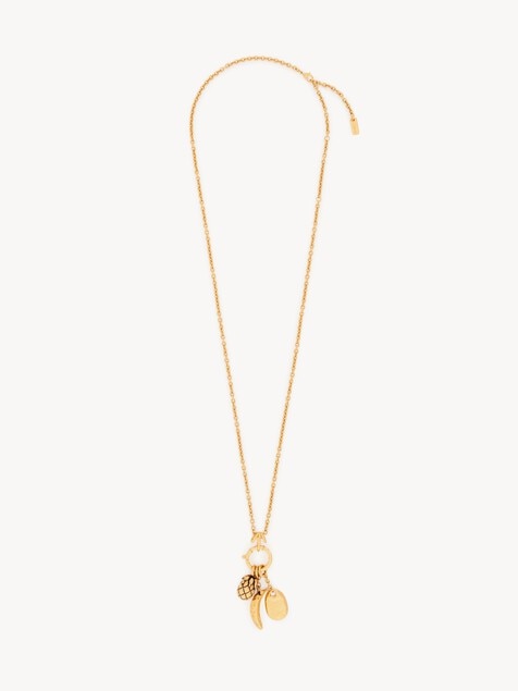 The Chlo&eacute; Charms necklace