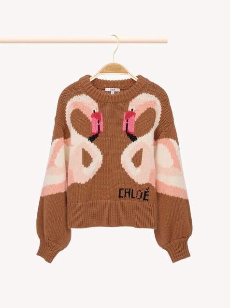 Pull &agrave; logo Enfant