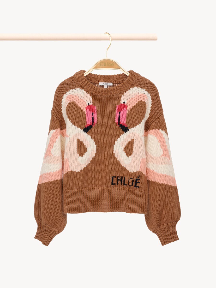 Pull &agrave; logo Enfant - 2
