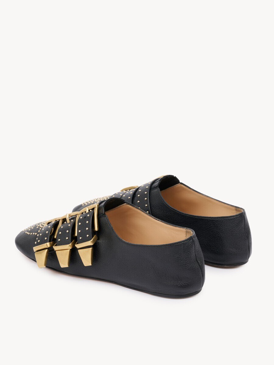 Susanna flat - 6