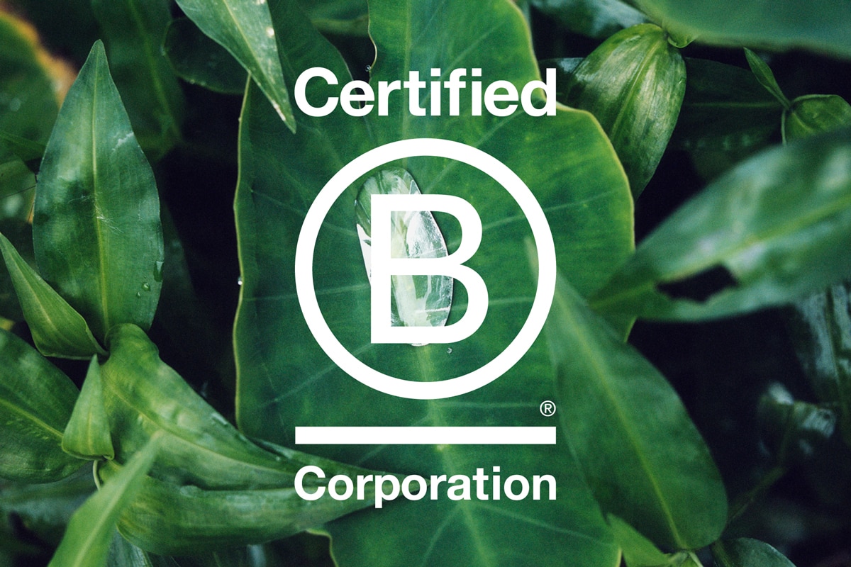 CHLOÉ JUST ACHIEVED B CORP CERTIFICATION